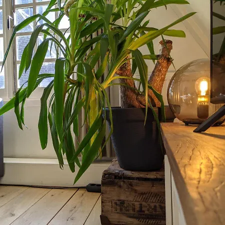 Storestay Damsquare 招待所