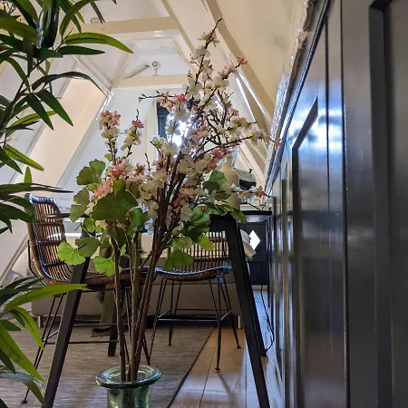 Storestay Damsquare 招待所 3*