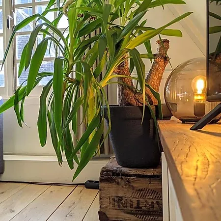 Guest house Storestay Damsquare Amsterdam