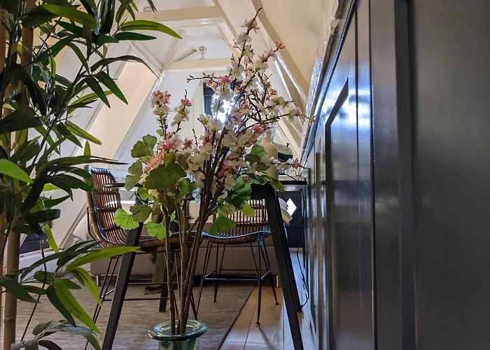 Storestay Damsquare Pensión 3*